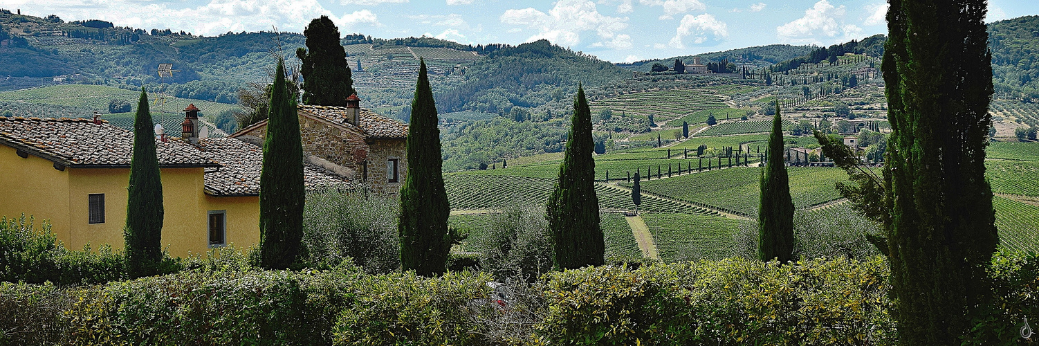 Azzurro   --   cipresso e casa   ©D7221_OC_3#1