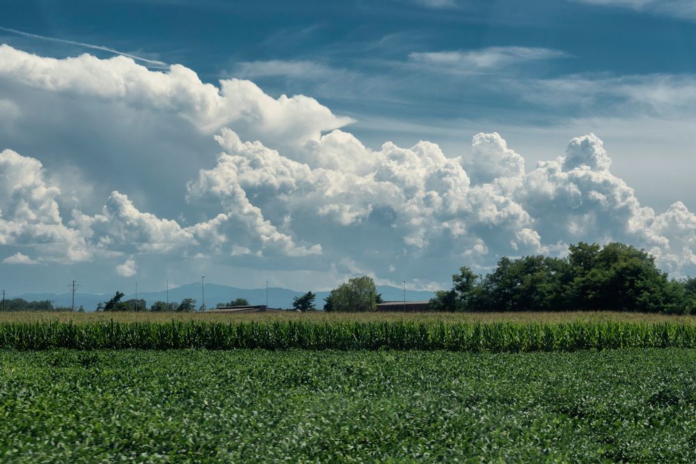 Azzurro e verde