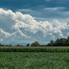 Azzurro e verde