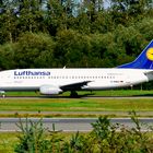 B 737-300 D-ABEH, Lufthansa
