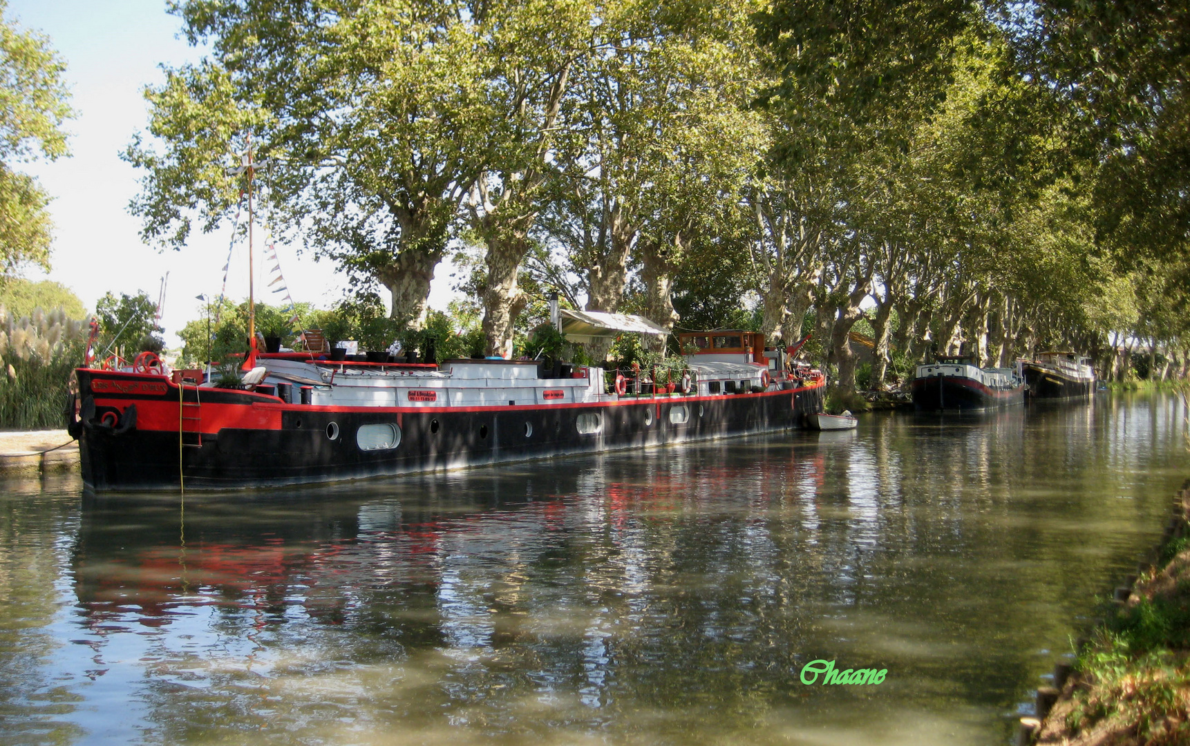 B & B sur le canal du midi