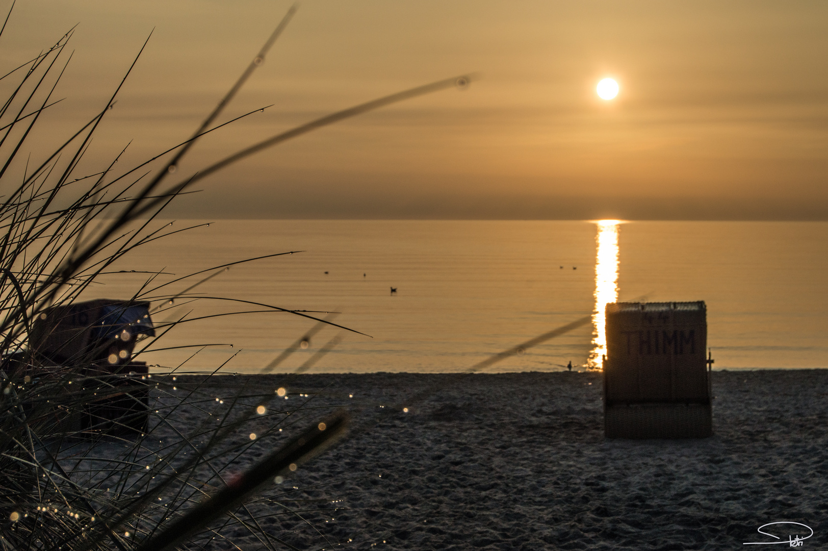 b-DSC_4475-Sonnenaufgang-überm-Ententeich