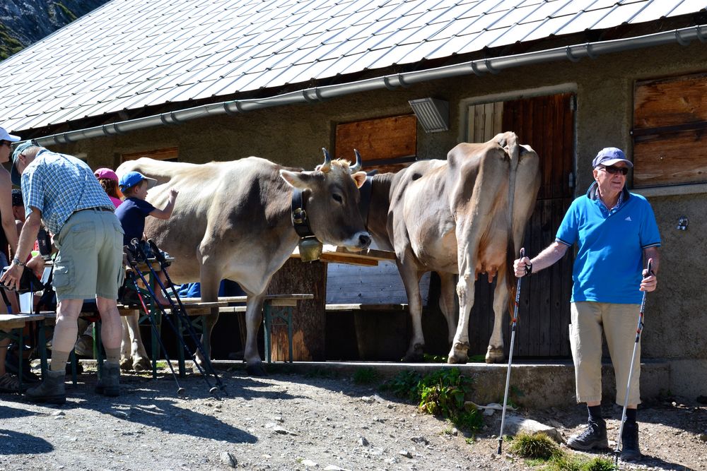 "B E G E G N U N G" auf der Lünerseealpe…