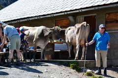 "B E G E G N U N G" auf der Lünerseealpe…