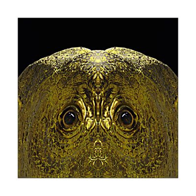 B L I C K K O N T A K T