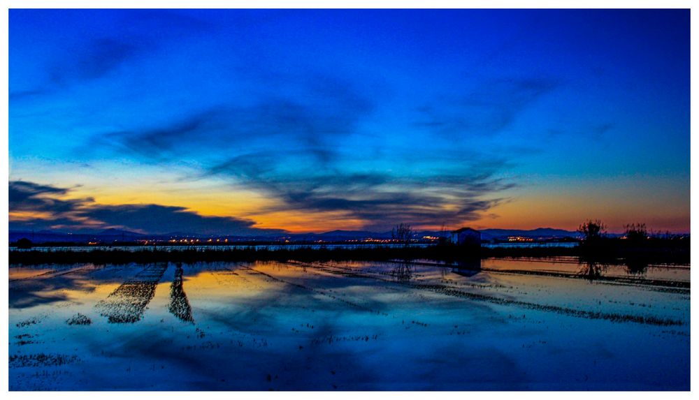 Hora azul en la Albufera de JULIÁN NUÉVALOS