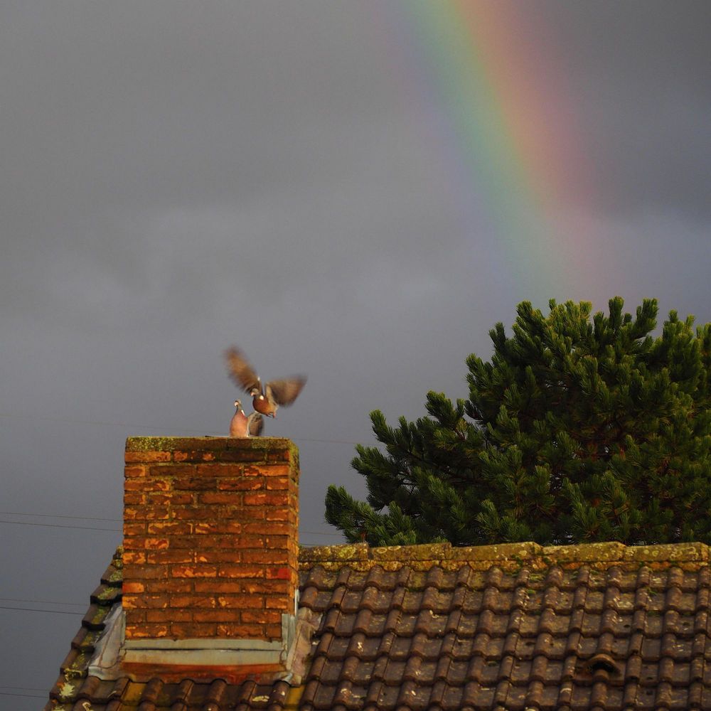 Unter dem Regenbogen von He LeHo