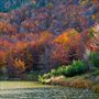 Autunno al lago. by MAURIZIO GAETANO 