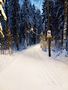 The trackt on center park of Helsinki by Raimo Ketolainen