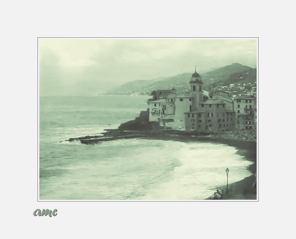 _b12 CAMOGLI