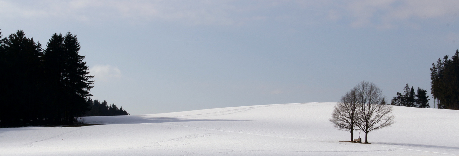 Bayerischer Wald von dietrich_grasemann