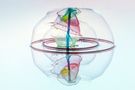 Double Soap Bubble Drops  by Markus Peerenboom