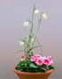 Spring plant bowl by FMW51