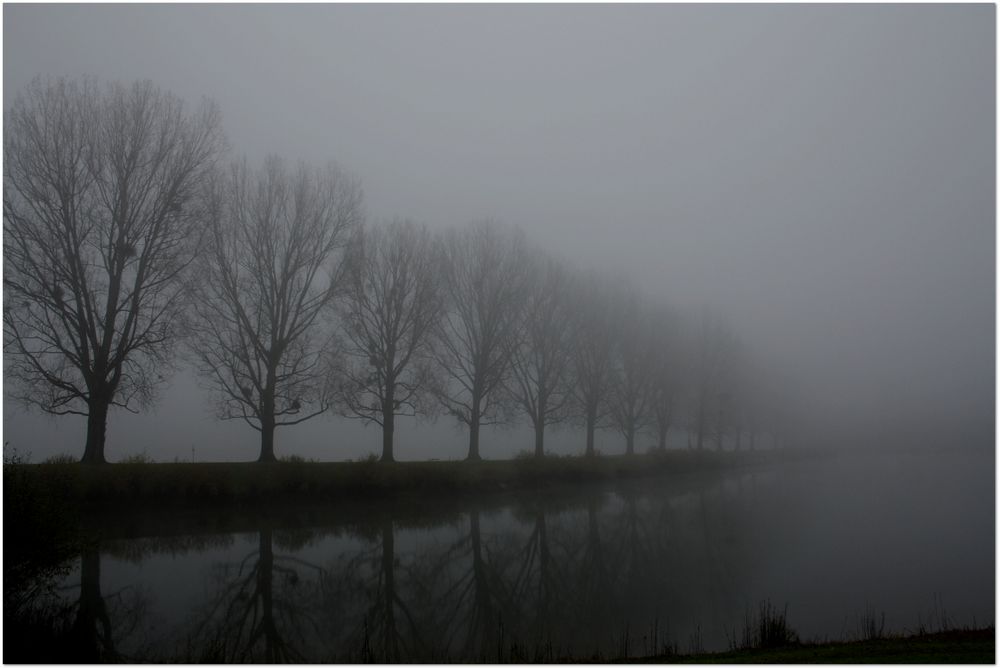 Nebel am Rhein von KaGraphie