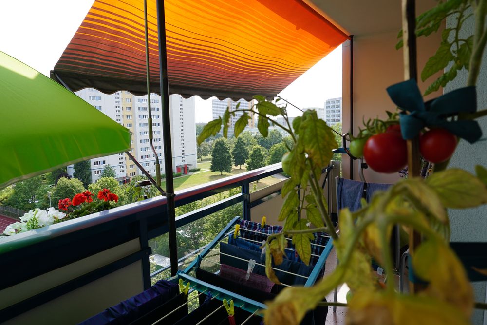 Sommer Auf Dem Balkon Sommer Auf Dem Balkon