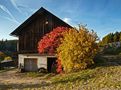 Bauernschuppen im leuchtendem Herbstgewand von Uwe Vollmann