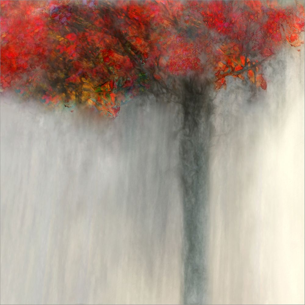 fiery autumn von gil claes