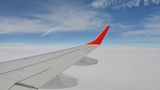 Red Winglet von Hermi