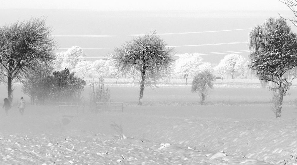 Winterspaziergang von Zanissimo 