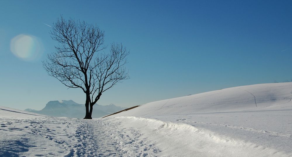 winter von Sylvia Sivi