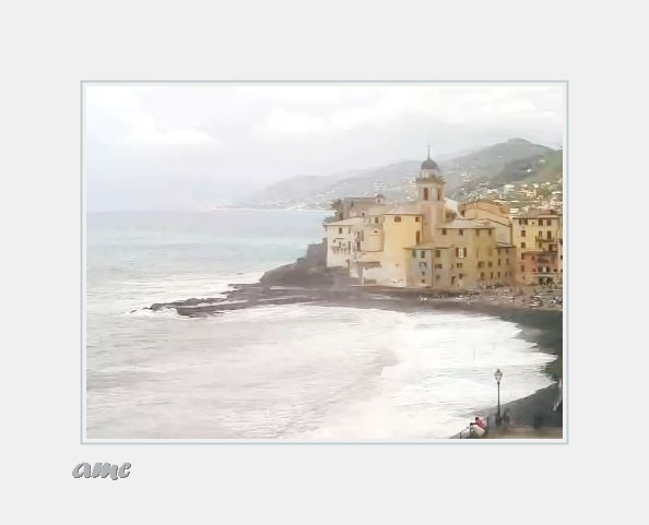 _b3a CAMOGLI