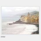 _b3a CAMOGLI