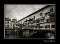 firenze ponte vecchio de fabrizio bertini 