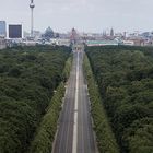 B4690 - Tiergarten