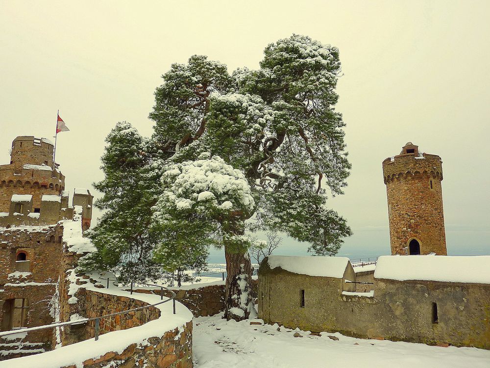 Schloss Auerbach von uwe-liebe