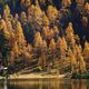 Indian Summer in den Gasteiner Bergen