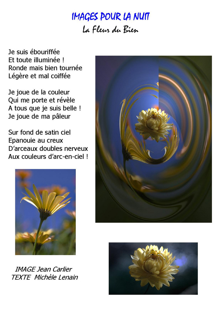 B6 IMAGES_POUR_LA_NUIT La Fleur du Bien