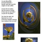 B6 IMAGES_POUR_LA_NUIT La Fleur du Bien