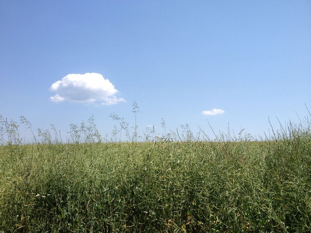 Wolke 7 von Ginkel3000 