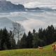 Sdtirol Nebel