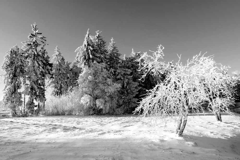 eisige Rhön von sybille.w-k 