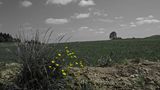 Im Emmental am Rande des Weges by Pi.H.Ro 