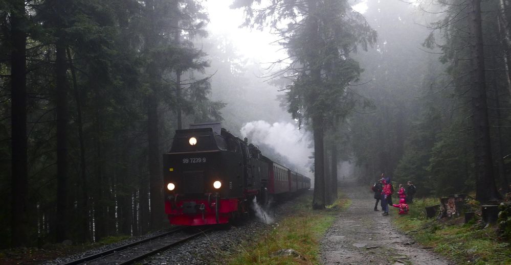 Unter Dampf im Harz von mumimutti