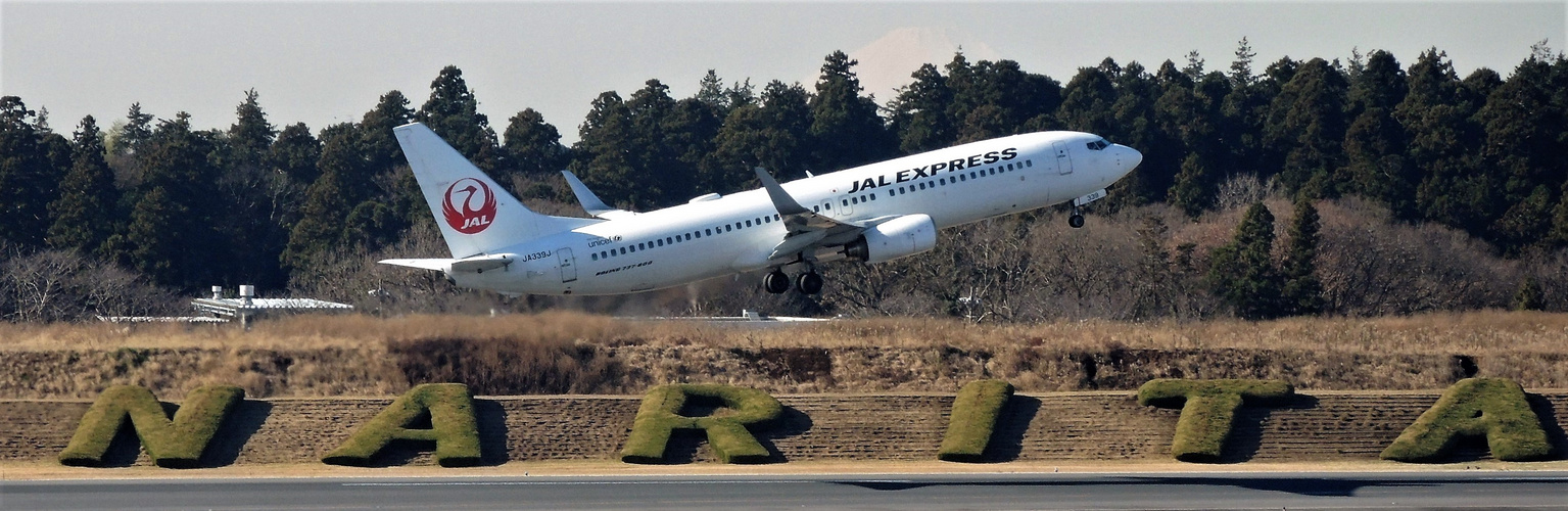 B737-800 der JAL EXPRESS