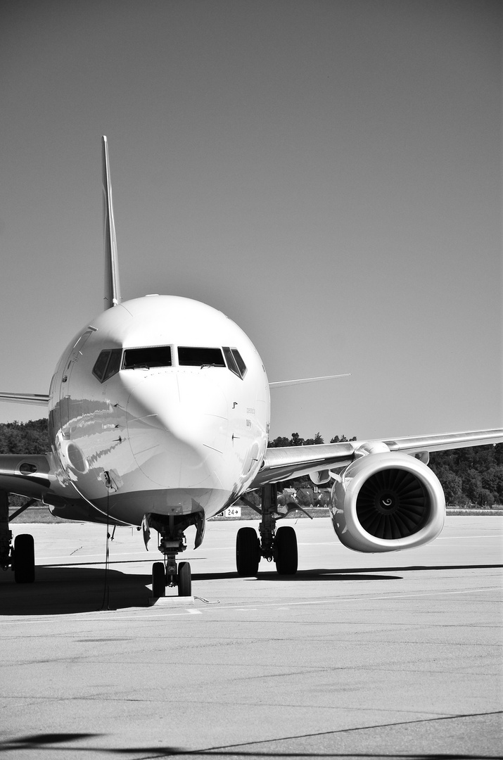 B737 in B&W