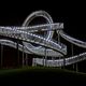 Tiger & Turtle