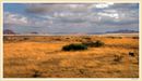 Namib-Naukluft National Park