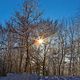 Schnee und Sonnenschein in der Eifel