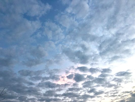 B7B5FEF0-B88F-4AC9-B5A4-38988C3A3F88