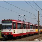 B80 4101+4272 - Meerbusch, Kamperweg