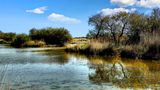 Reflets camarguais von JeanPierre