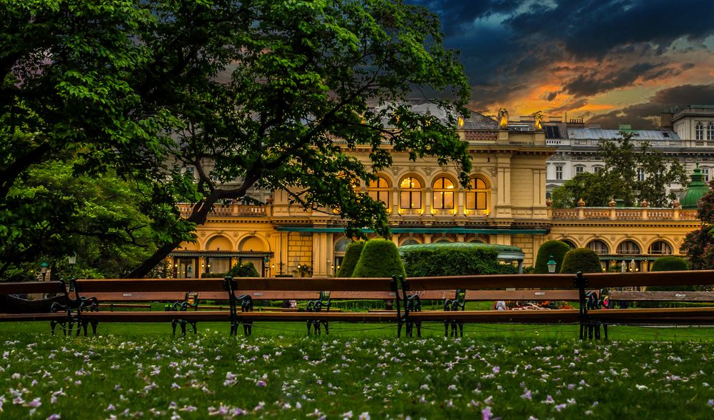 Wiener Stadpark von chrisrocktphoto 