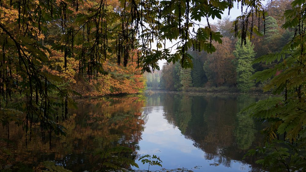 Otoño   de Diaz maldonado