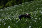 DE: Was für ein herrlicher Anblick! di Kosche Günther 