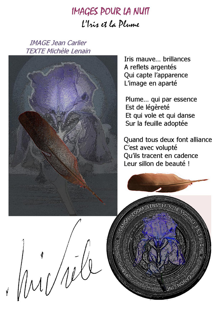 B9 IMAGES POUR LA NUIT l'iris et la plume