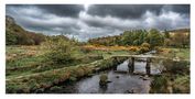 Dartmoor National Park - wo Natur noch Natur ist by Gerhard H. Unterberger